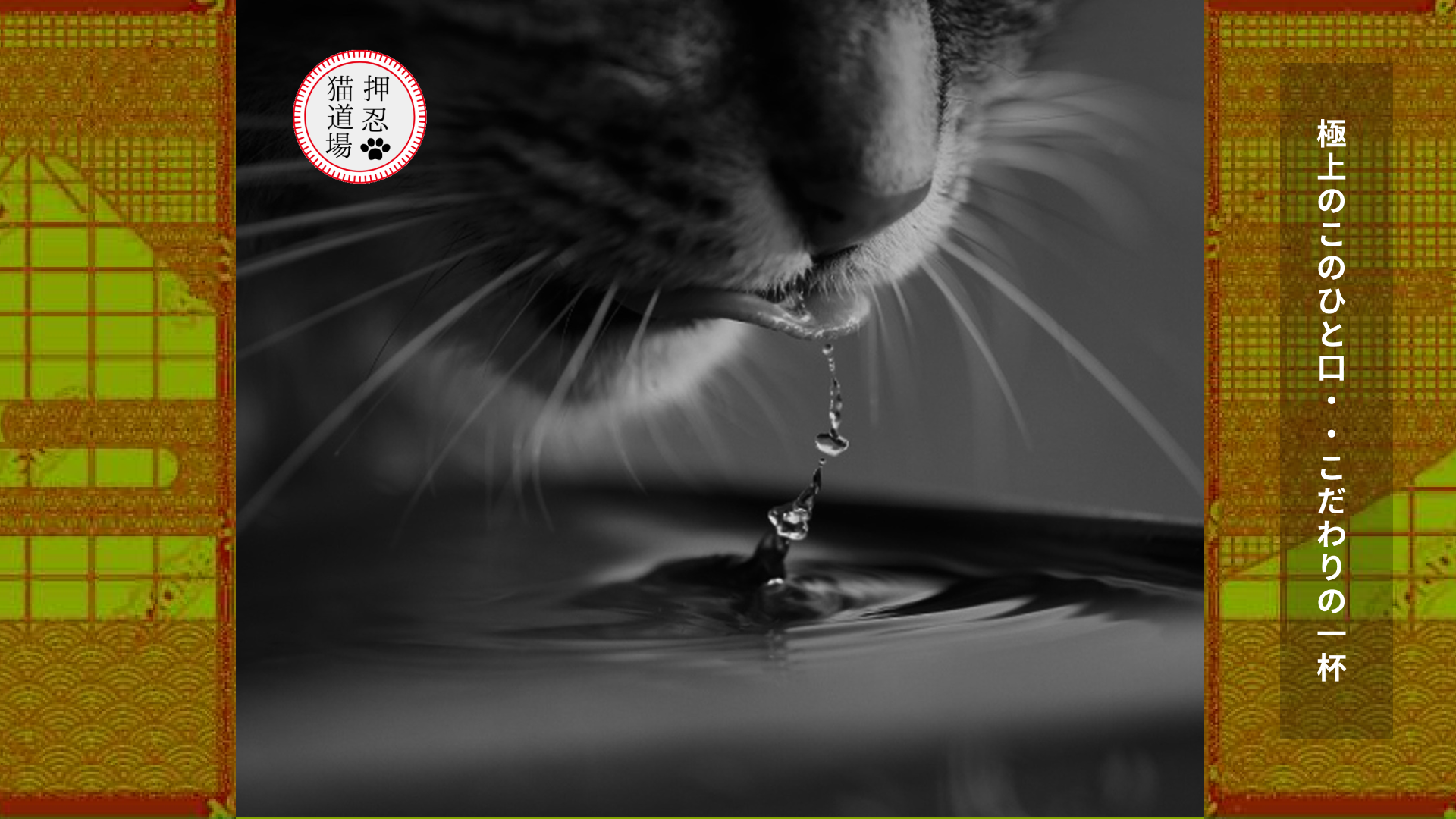 猫の飲み水どうしてる？