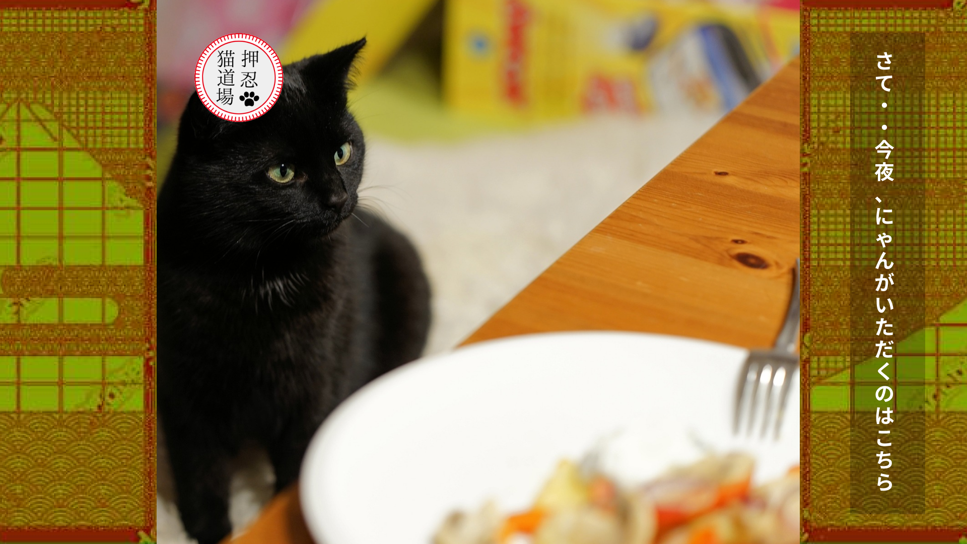 猫の食事気にしてる？